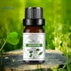 thumbnail image 3 of emoboy 10ml Aceite De Esencia Aromática Diseño Gotero Fragancia De Larga Duración Aroma soluble En Agua Extracto De Planta De Aire Fresco Esencial De Lavanda Rosa Aromaterapia, 3 of 4