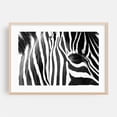 thumbnail image 2 of In the Eye of It - South Africa Photography Black and White Wildlife Animal Nature Pattern Minimalist Unframed Wall Art Print 4 x 6 inches, 2 of 7