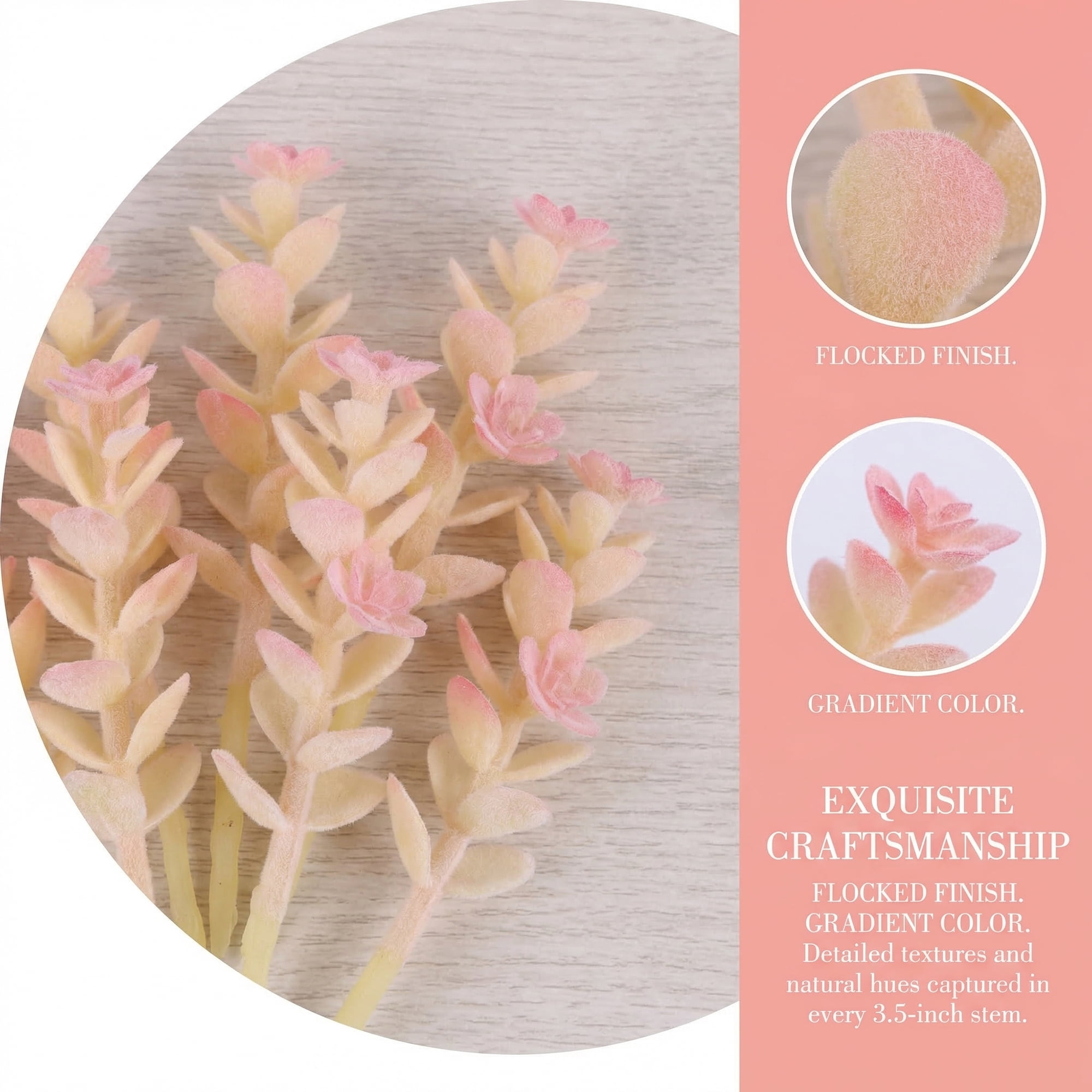 Unique Bargains 10Pcs Artificial Succulents Money Leaf Beige Cactus Beige 3.5"