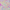 Pink, variant on Ocean Pacific Girl's Rash Guard Swimsuit Set, Sizes 4 - 14