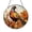 Acrylic 3.5 Inch, variant on Vibrant Autumn Wild Pheasant Suncatcher Wall Display Holiday Gift Glass