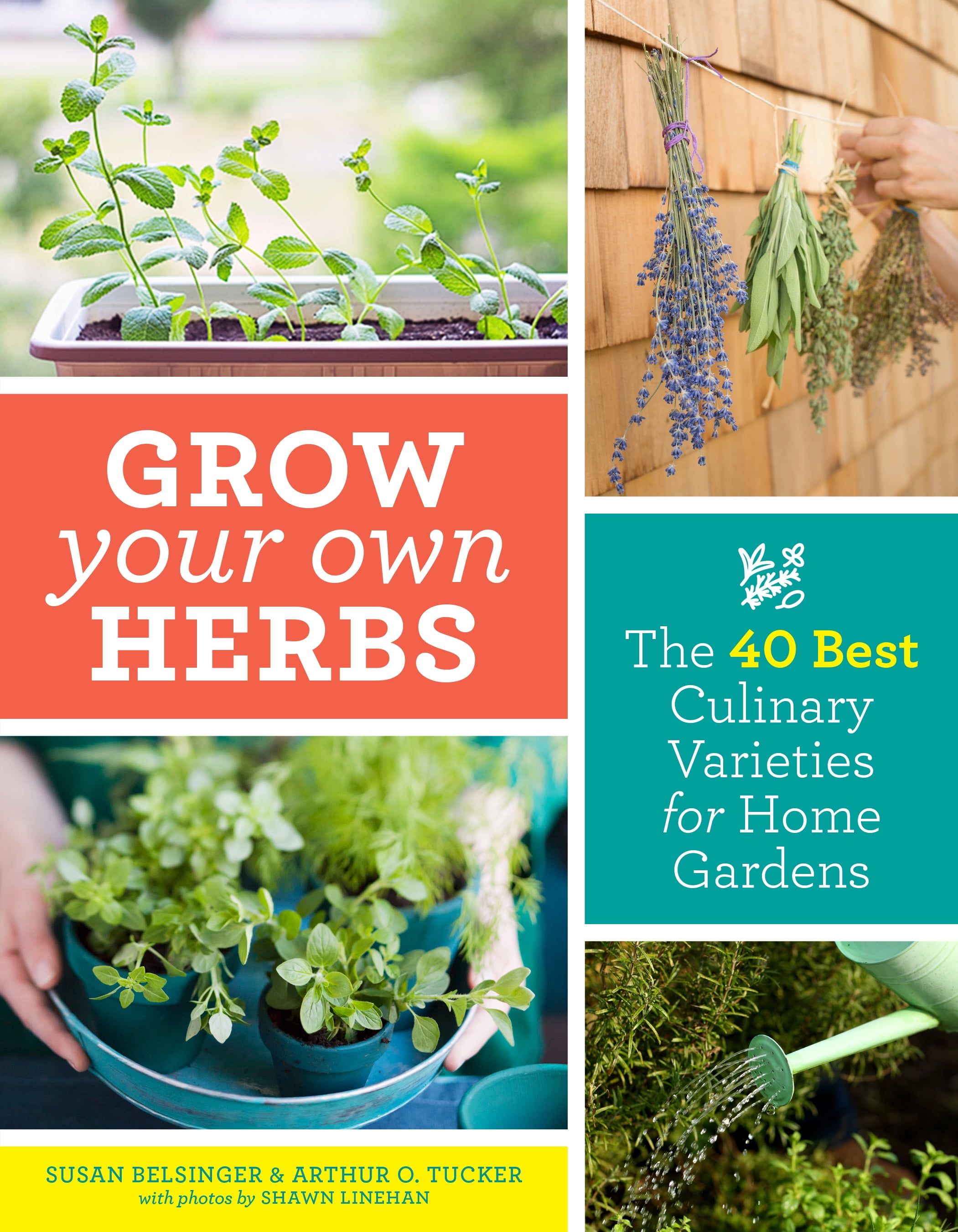 Grow Your Own Herbs Paperback