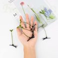 thumbnail image 3 of 28 Uds. Pinzas para el cabello con brotes de frijol, horquillas con plantas divertidas, pinzas para el cabello con plantas y flores, pasador para el cabello con hierba, accesorios bonitos pa, 3 of 5