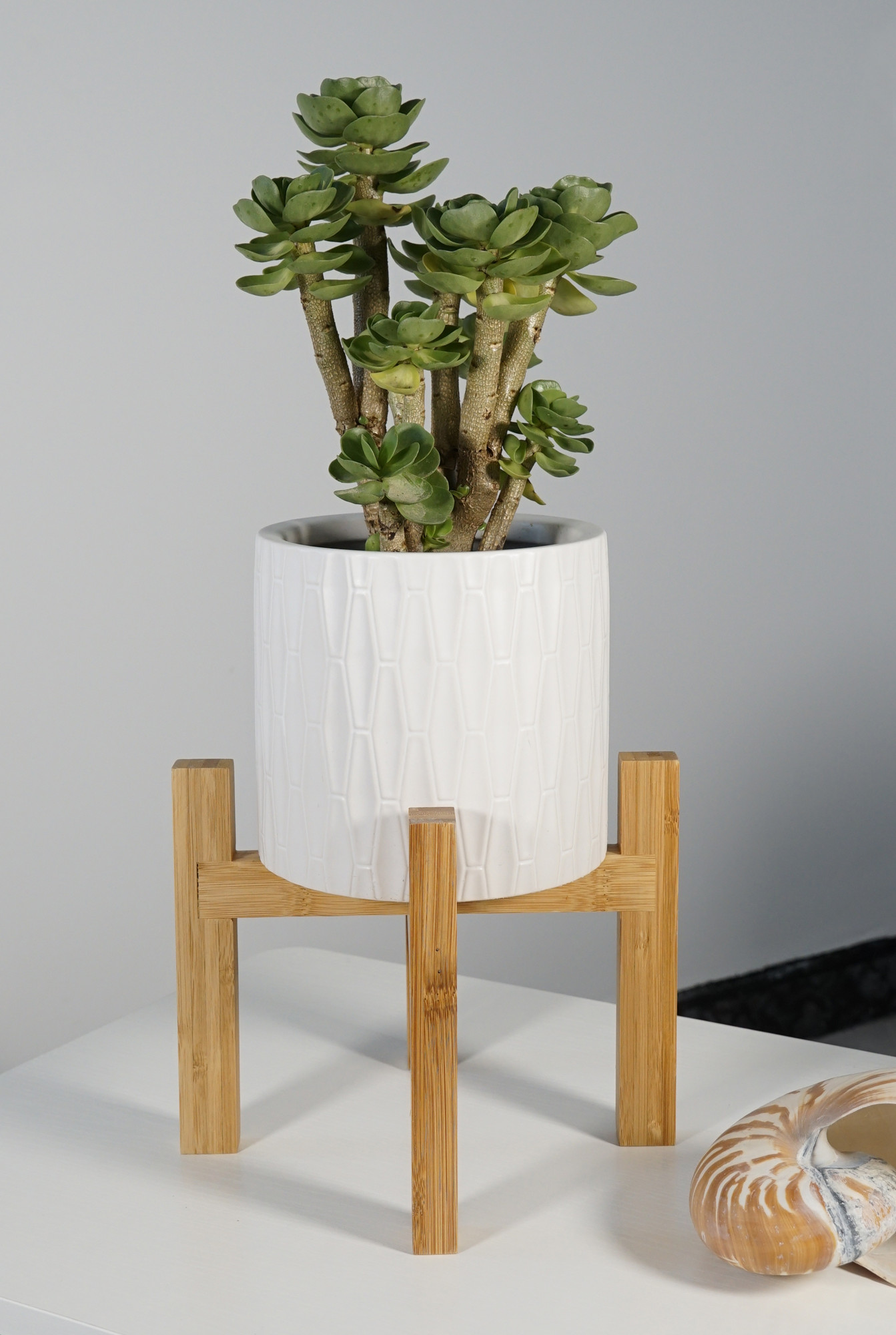 Better Homes & Gardens 6in Kennewick Ceramic Planter With Stand, White - image 2 of 8