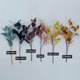 thumbnail image 4 of Nvzi 12 tallos artificiales de eucalipto, hojas de eucalipto de seda sintética de 50 cm con bayas, plantas verdes y decoraciones florales (azul cielo), 4 of 5