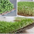 thumbnail image 3 of Plant Mat - Natural Safe Multipurpose Grow Pads - Plant Growing Kit - for Kitchen Balcony Garden Inside Wheatgrass Sprouts Flower Seedlings Vegetables Greenery(Q) ﻿, 3 of 6