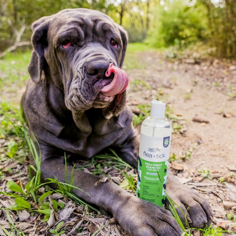 Flea and outlet tick shampoo walmart