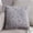 Gray, variant on HongHeng 1Pc Decorative Faux Fur Gold Feathers Gilding Leaves Throw Pillow Covers Sparkling Throw Pillow Covers Fluffy Plush Soft Square Cushion Cases for Sofa Bedroom Party Décor