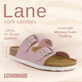 thumbnail image 2 of Cushionaire Lane Cork Footbed Sandals for Women – Comfortable Double Buckle Slip-On with Genuine Suede Footbed & Arch Support Slides for Women Footwear, 2 of 12
