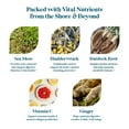 thumbnail image 4 of Pattern Wellness Sea Moss Complex with Burdock, Bladderwrack, Vitamin C & Ginger, 30 Count, 4 of 6