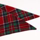 thumbnail image 4 of Bandana clásica para perro Zulema tela escocesa verde rojo, 4 of 8