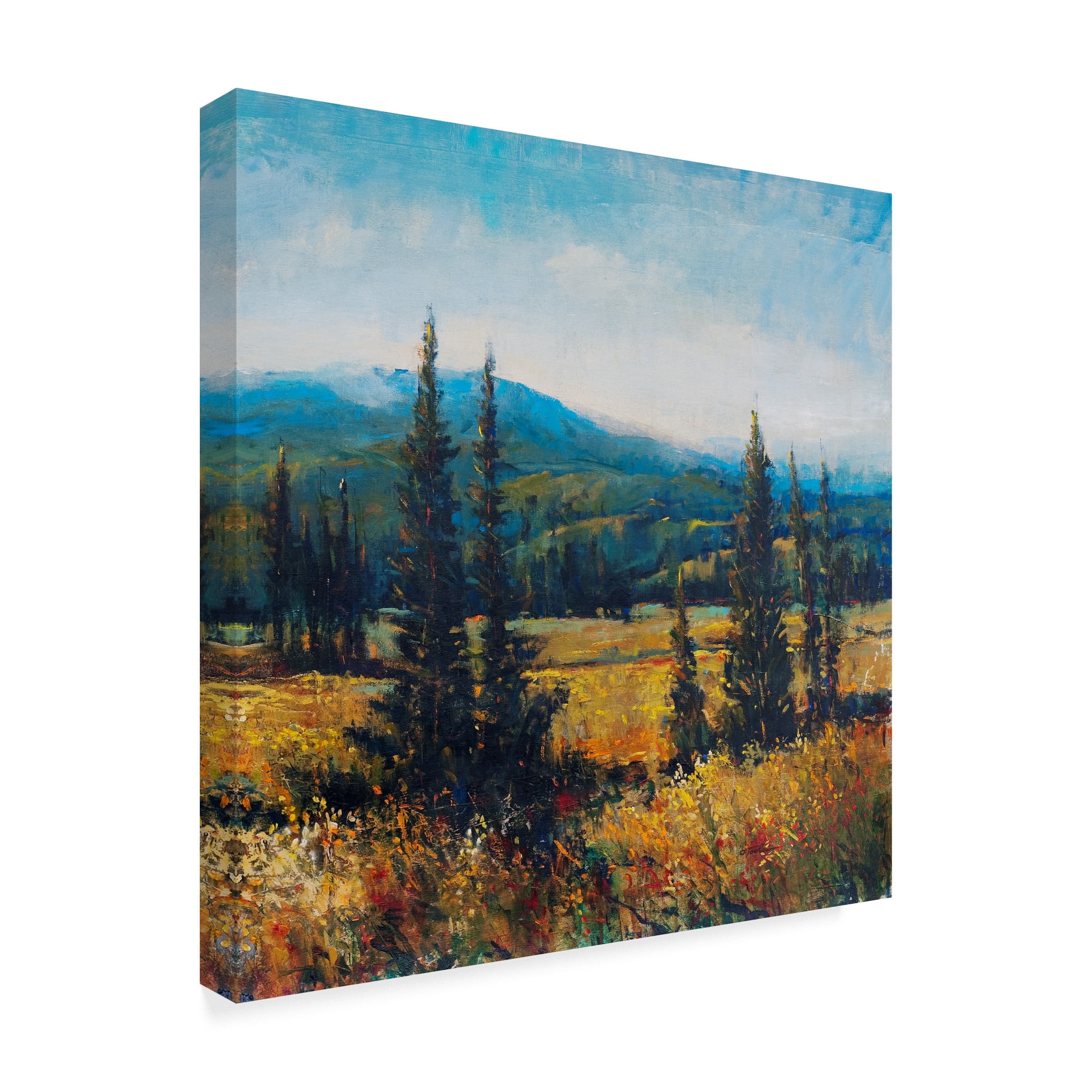 Trademark Fine Art 'Pacific Northwest II' Canvas Art by Tim OToole