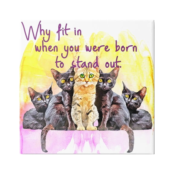 Stupell Born To Stand Out Cats Pet Phrase Animals & Insects Painting Gallery Wrapped Canvas Print Wall Art