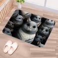 thumbnail image 5 of Animal Non-Slip Polyester Floor Rug Mat, Machine Washable Floor Mats, 5 of 6