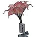 thumbnail image 3 of Lily Garden Mini 15" Artificial Calla Lily 10 Stem Flower Bouquets (Pink with Gray), 3 of 4