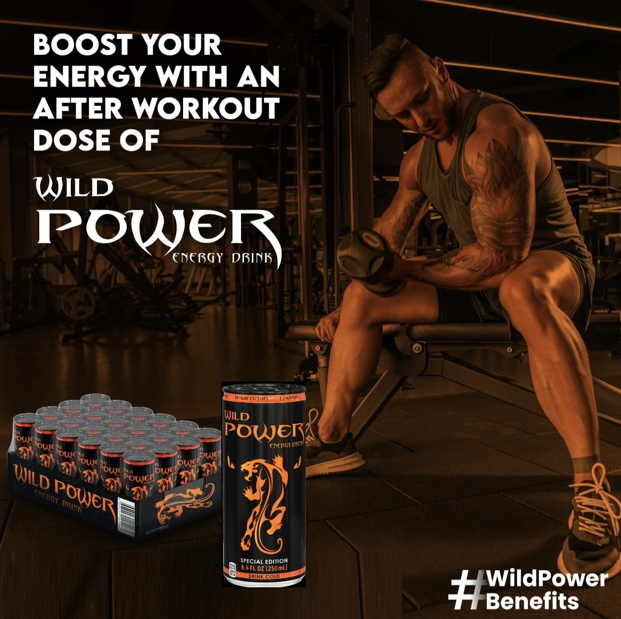 WILD POWER Energy Drink Quick Energy Booster 24 Pack 8.4 fl oz