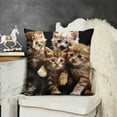 thumbnail image 2 of Throw Pillow Covers Cute Kittens Black and Orange , Square Decorative,Cushion Pillows Cover for Couch and Bed for Men/Women, 2 of 5