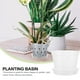 thumbnail image 5 of 2 juegos de maceteros de orquídeas transparentes, macetas de cultivo, taza de orquídeas, macetero de plástico transparente con platillos, 5 of 7