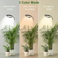 thumbnail image 3 of Grow Lights for Indoor Plants Full Spectrum, 80 LEDs 3 Colors Grow Light, 65in Plant Lights for Indoor Growing with 360°Gooseneck, 6/12/16H Timer, 5 Brightness, Height Adjustable, White Pair, 3 of 14