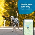 thumbnail image 4 of Tractive GPS Pet Tracker for Dogs  Waterproof, GPS Location & Smart Activity Tracker, 4 of 6