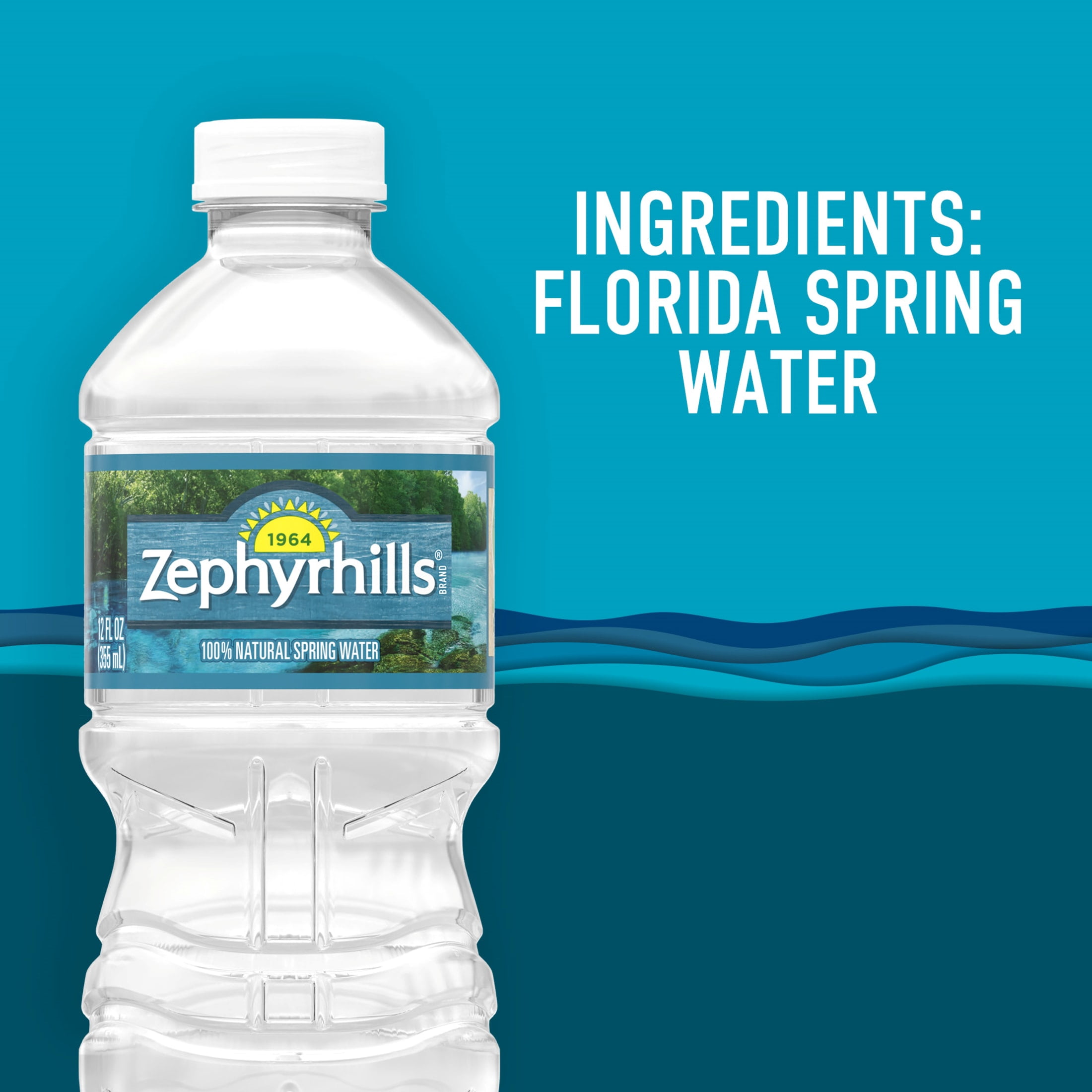 (2 pack) Zephyrhills Florida Spring Water, 12 fl oz, 12-pack Plastic Bottles
