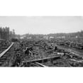 thumbnail image 2 of Land Littered With The Stumps Of Trees In What Would Become The Lumber Town Of Davis History, 2 of 2