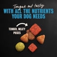 thumbnail image 6 of Cesar Chicken Flavor and Vegetable Garnish Small Breed Dry Dog Food Chicken, 5 lb Bag, 6 of 11