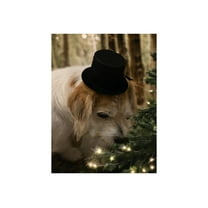 CalCastle Craft 12 Pc Top Hat 2", 4", 4.5", 6.5", 8" Party Decoration (4" / 12 pc)