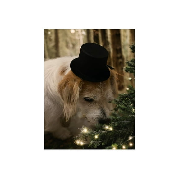 CalCastle Craft 12 Pc Top Hat 2", 4", 4.5", 6.5", 8" Party Decoration (4" / 12 pc)