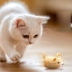 thumbnail image 5 of Methold Juguete interactivo resistente al desgaste para gatos, juguete interactivo eléctrico para gatos, suministros para mascotas, juguetes. Juguetes para gatos amarillo, 5 of 6
