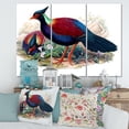 thumbnail image 2 of Designart ' Ancient Birds In The Wild II ' Traditional Canvas Wall Art Print, 2 of 3