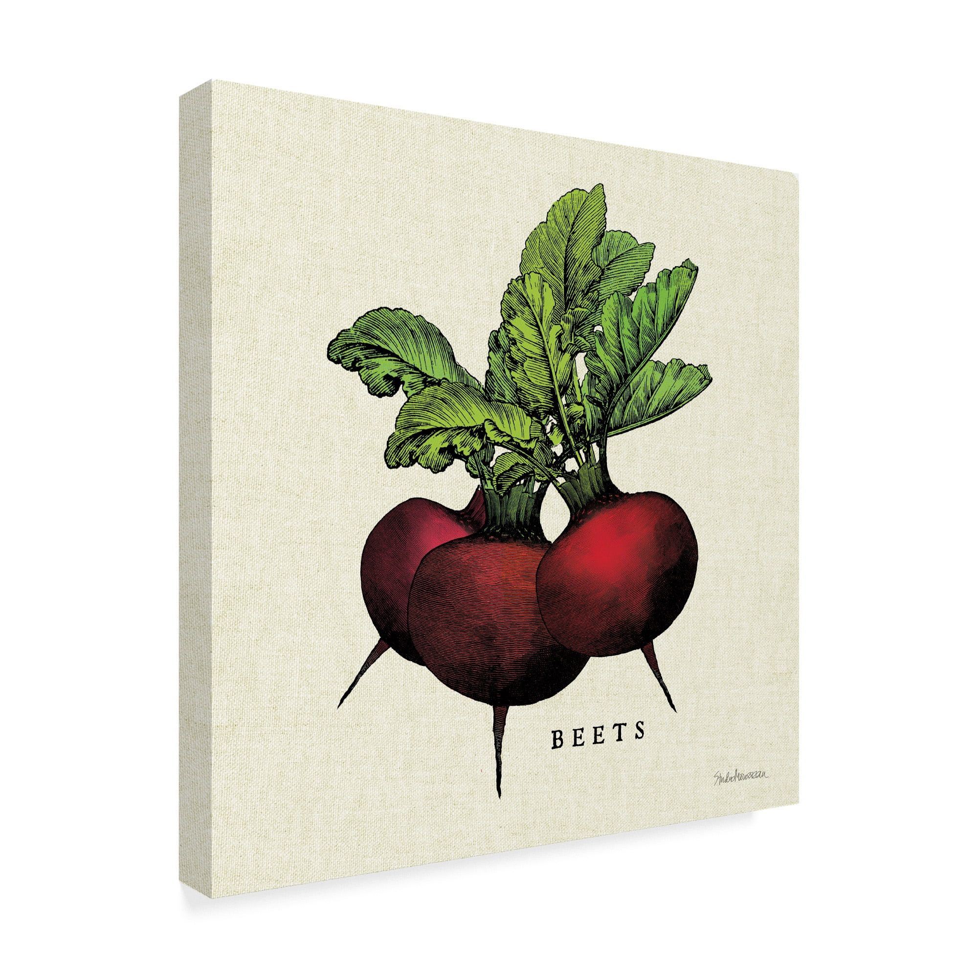 Trademark Fine Art 'Linen Vegetable I v2' Canvas Art by Studio Mousseau