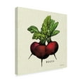 thumbnail image 2 of Trademark Fine Art 'Linen Vegetable I v2' Canvas Art by Studio Mousseau, 2 of 3
