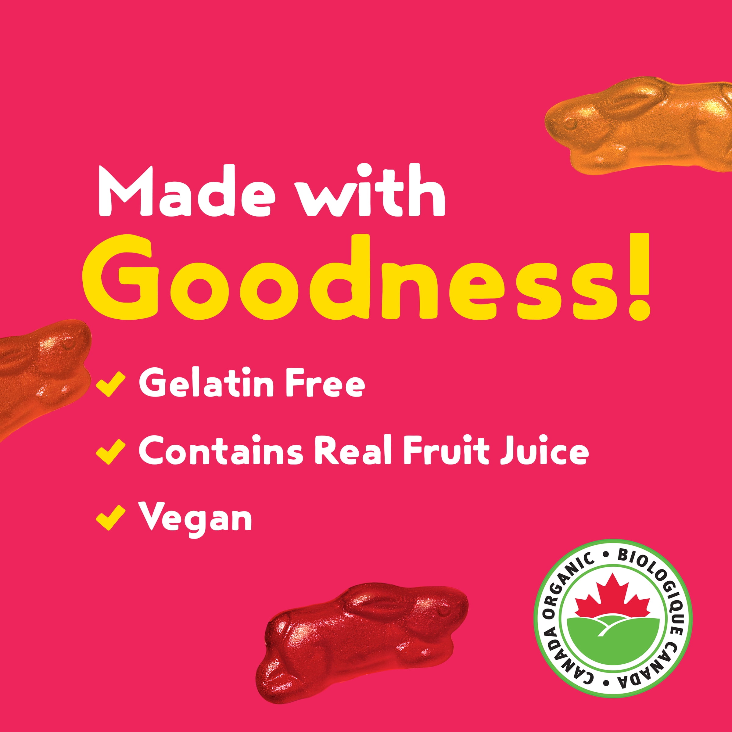 Annie's Biologique Bunny Fruit Collations aromatisées Fraises d'été, 198 g 10 sachets, 198 g