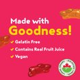 thumbnail image 3 of Annie's Organic Bunny Fruit Flavoured Snacks Summer Strawberry, 198 g, 3 of 9