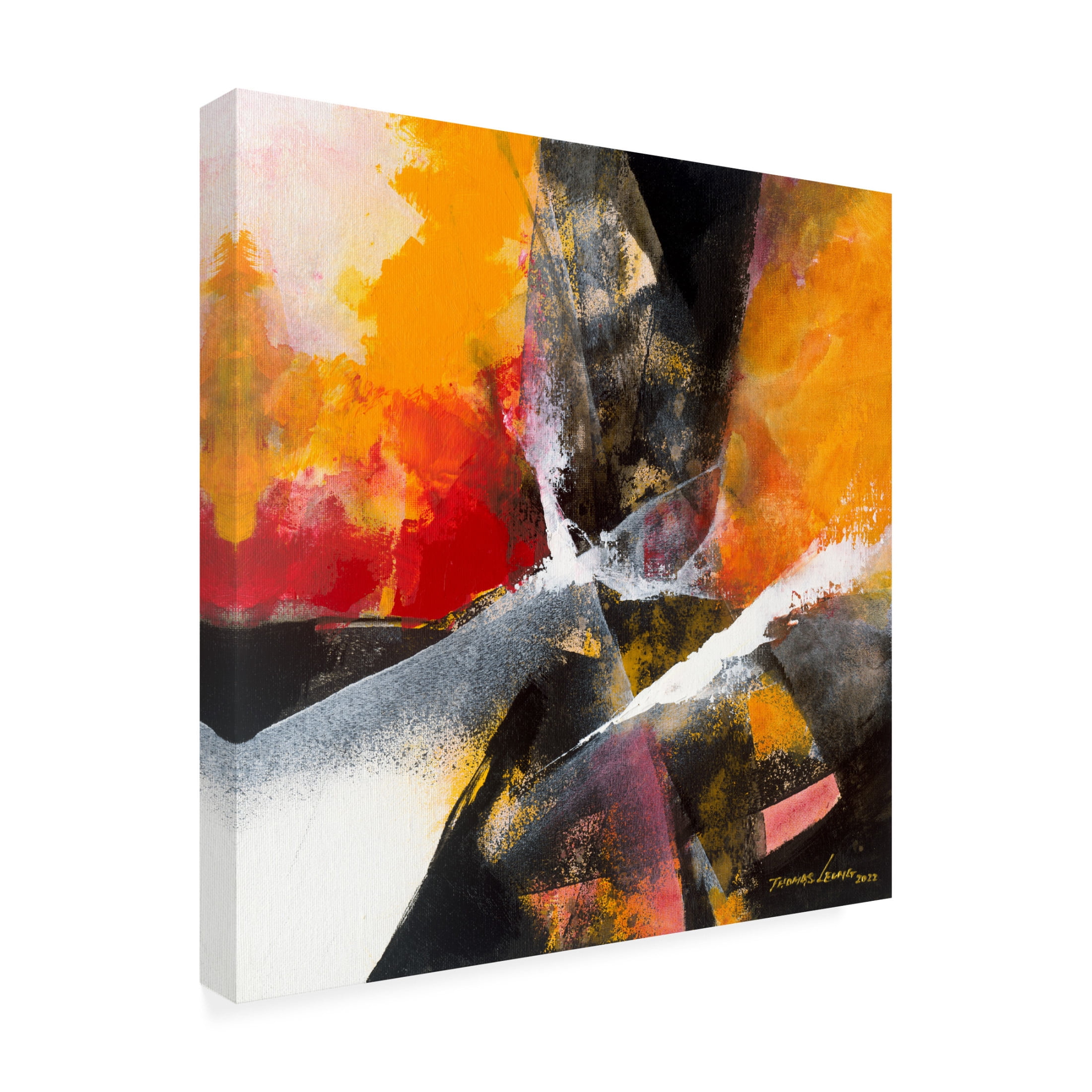 Canvas Wall Art - Thomas Leung 'Amazing 2' Wall Art for Living Room, Bedroom, or Office Décor by Trademark Fine Art - 14 x 14 Inches