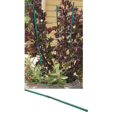 Best Garden Bamboo Plant Stakes