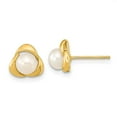 thumbnail image 3 of 14K Yellow Gold 5-6mm White Near Round Freshwater Cultured Pearl Post Earrings, 3 of 5