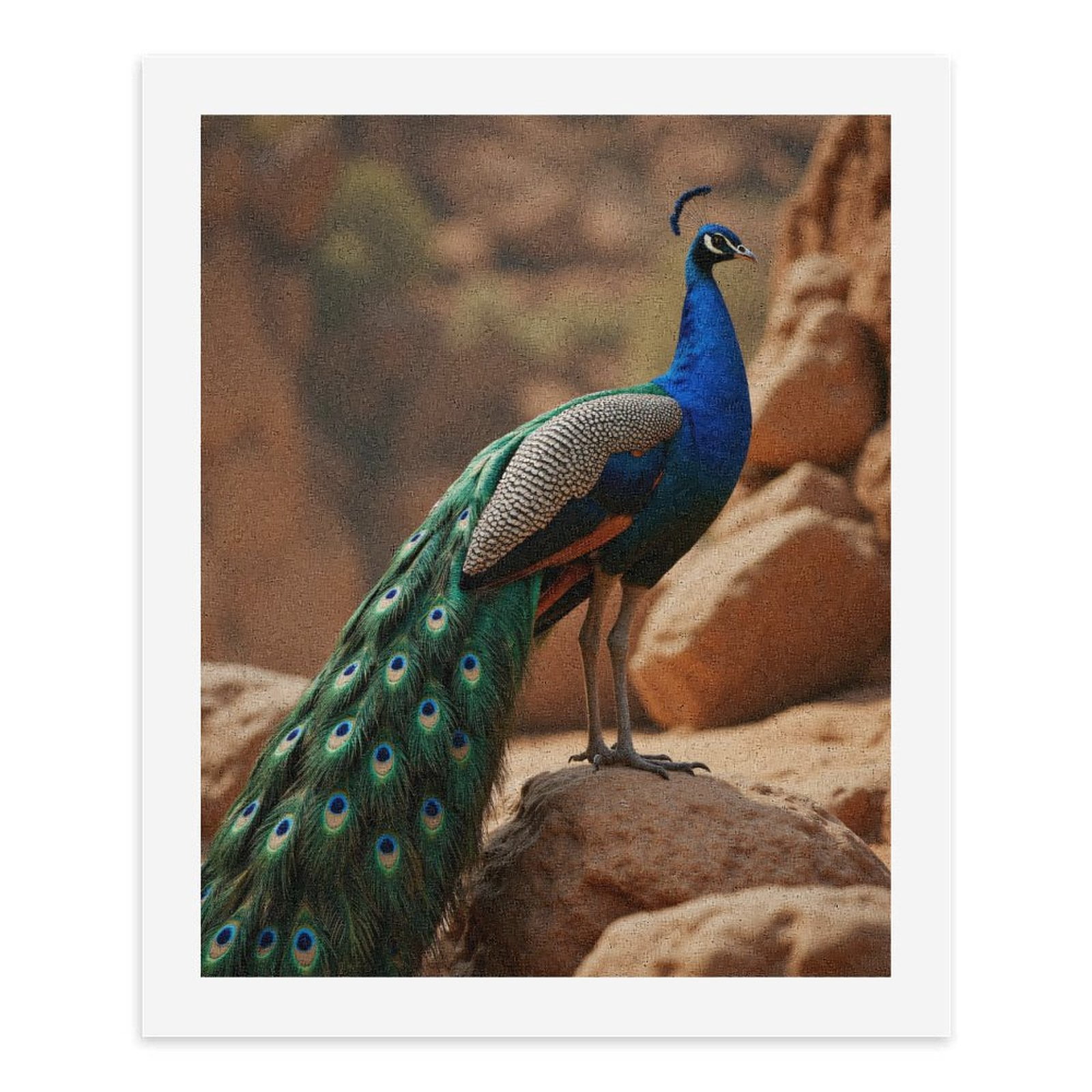 Paint By Numbers Kit for Adults Beginner - Majestic Bird Vibrant Feathers Rocks DIY Canvas Painting Kits for Adults, Frameless Paint By Number for Adults for Home Wall Decor 16x20 Inch