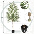 thumbnail image 6 of Artificial Olive Tree 7FT Tall Faux Silk Plant for Home Office Indoor Decor Fake Olive Tree with Lifelike Olive Leaves, 6 of 14