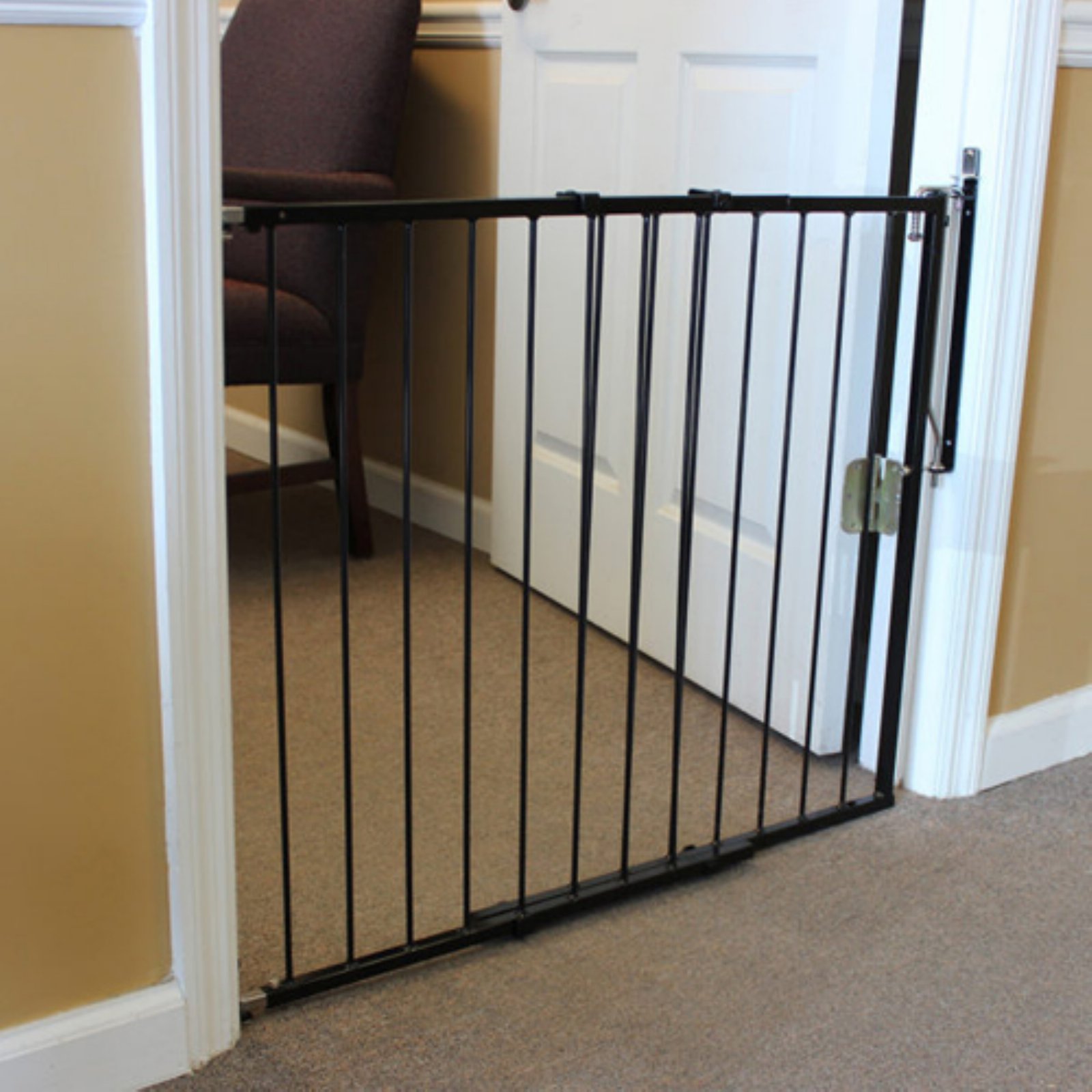 Cardinal Gates Any Angle Duragate Black Pet Gate, 41.5; L X 2; W X 29.5