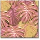 thumbnail image 1 of Cuadro Canva Listo Para Colgar Tipo Galería Naturaleza Rosa 80X80 cm, 1 of 4
