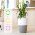thumbnail image 2 of Dupray Bloom™ Medical-Grade HEPA-13 Air Purifier with Integrated Planter, 2 of 7