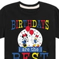 thumbnail image 3 of Disney - Minnie & Daisy - Birthdays Are The Best - Youth Short Sleeve Graphic T-Shirt, 3 of 5