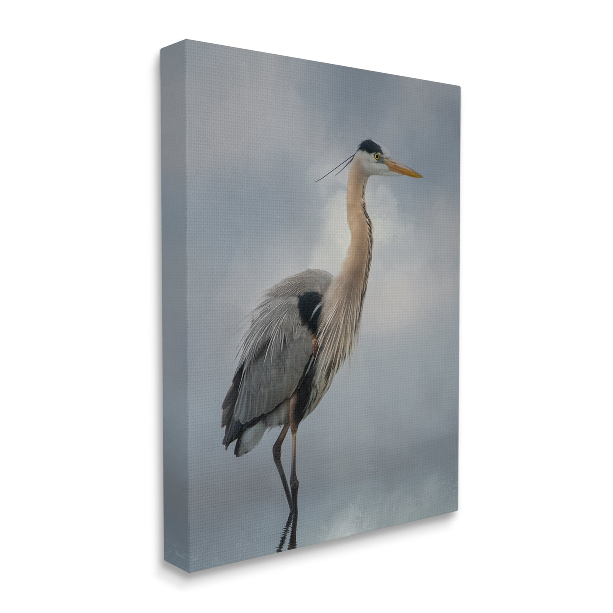 Stupell Perched Egret Water Reflection Animals & Insects Photography Gallery Wrapped Canvas Print Wall Art