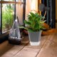 thumbnail image 4 of unbranded 3Jgo Macetas Automáticas De Con Absorbente Para Plantas Interiores Y Exteriores, 4 of 8