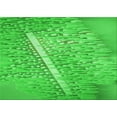 thumbnail image 1 of Ahgly Company Indoor Rectangle Patterned Lime Green Area Rugs, 2' x 4', 1 of 6