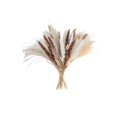 thumbnail image 2 of Dried Pampas Grass Decor Set – Faux Bunny Tails and Pampas Grass Bundle for Boho Home Table Wedding Farmhouse Party Decoration, 2 of 6