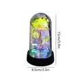 thumbnail image 3 of Light-Up Preserved Rose in Glass Dome - Eternal Flower Gift for Mom, Wife, or Girlfriend - Ideal for Birthday, Mother's Day, Valentine's Day, and Special Occasions, 3 of 6