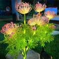 thumbnail image 6 of LICEWO Equinox Flowers Garden Statue with Lights Up LED Figure Solar Lights Flowwer Ornaments Outdoor Figurine Landscape Lights, 6 of 13